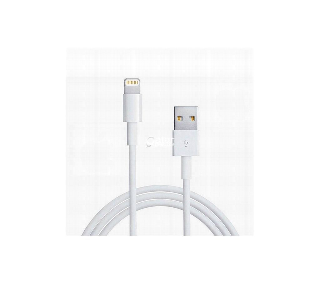 Apple mini USB Charger