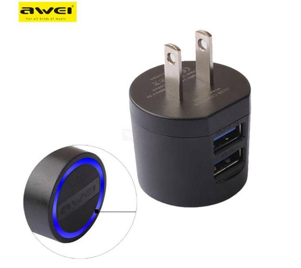 AWEI C800 Portable Dual USB Charger