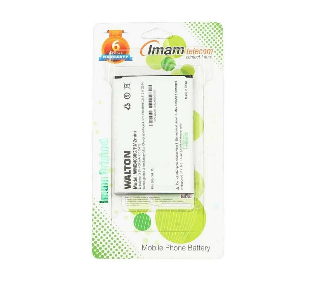 walton RM2 mini battery