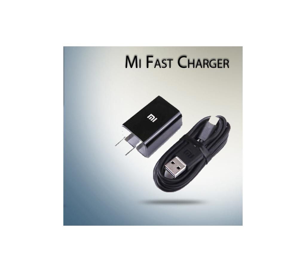Mi Charge earphone 