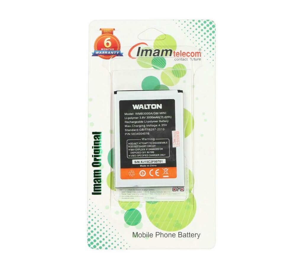 walton GMmini battery