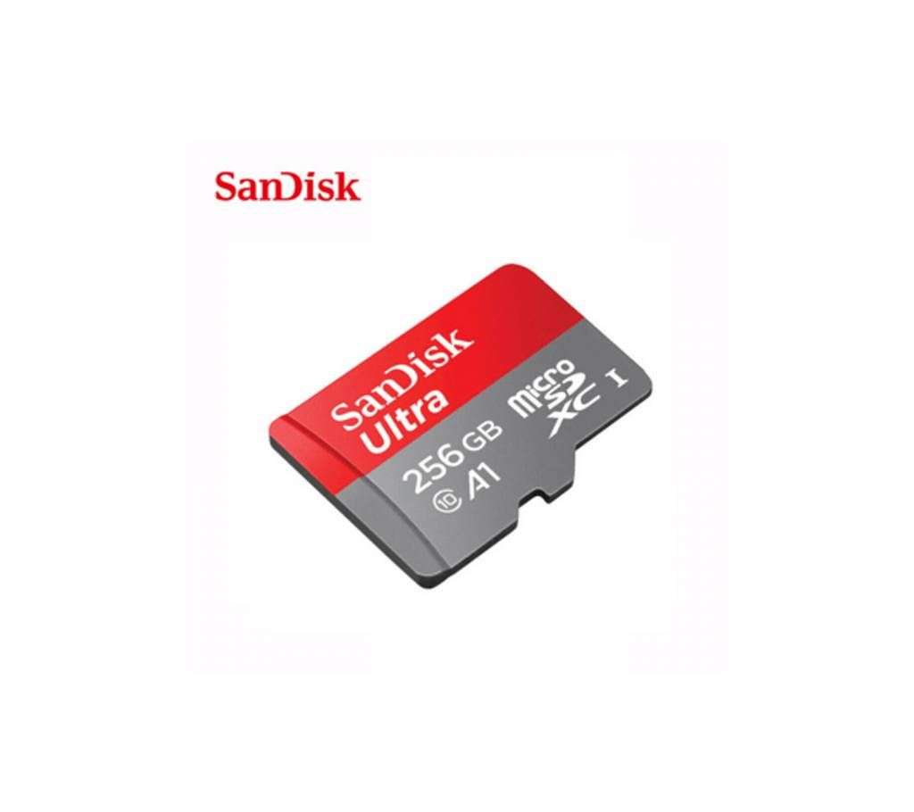 Sandisk 256GB Memory Card