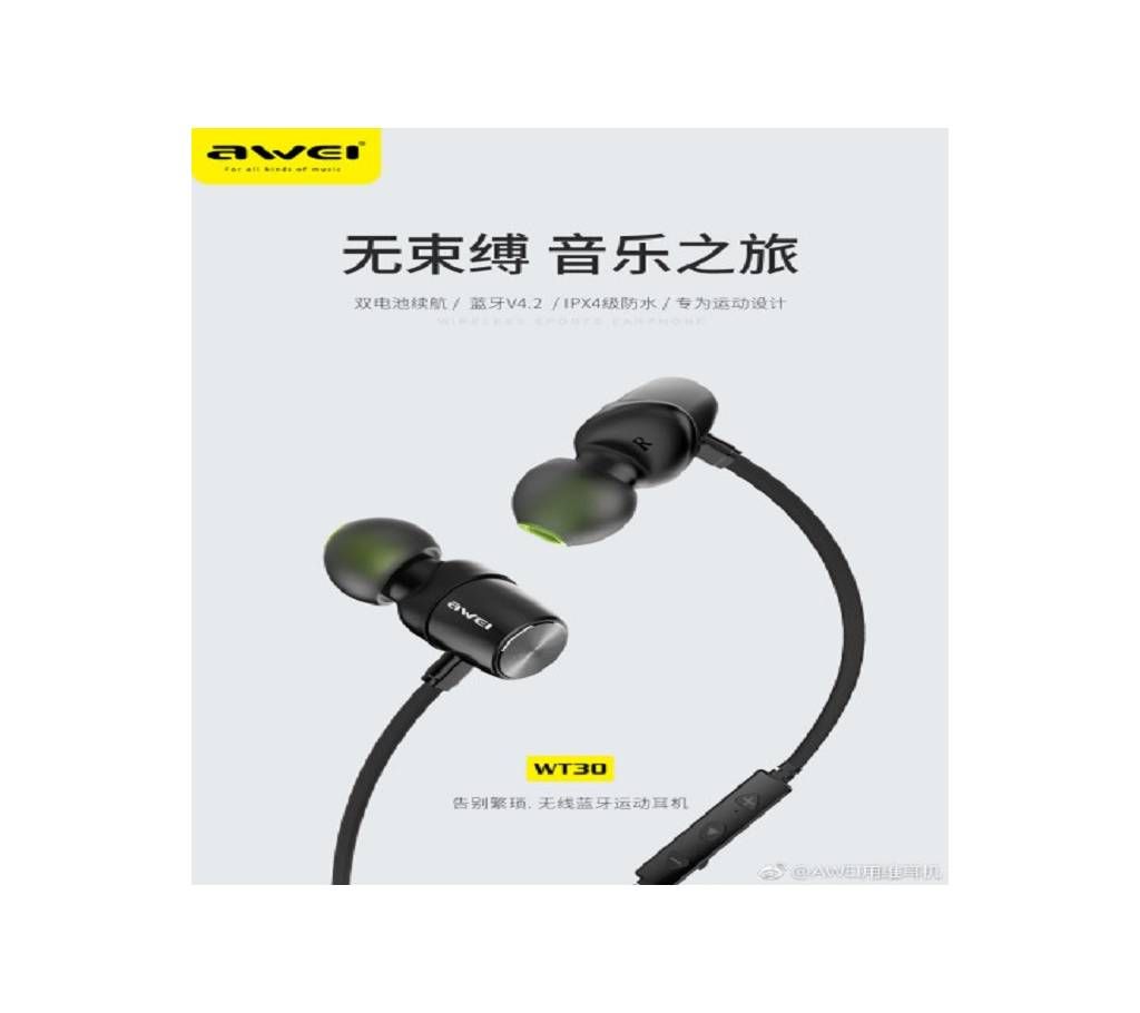 Awei WT30 Magnetic Sports Bluetooth Earphone 