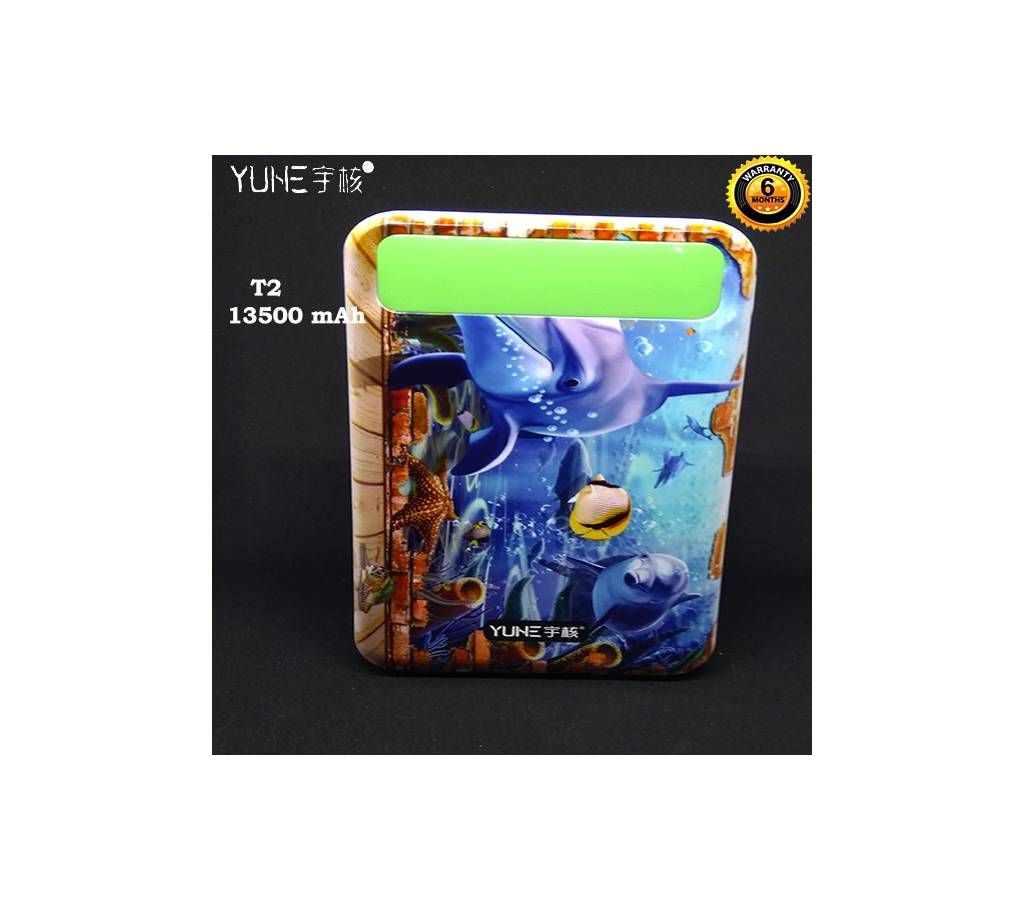Graphic Design Exclusive | 13500 mAh Long lasting Power Bank