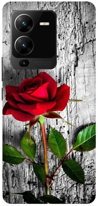 Afterglow Back Cover for ViVO V25 PRO 5G ROSEGARDEN, BEAUTIFUL, PRETTY, GARDEN  (Multicolor, Pack of: 1)