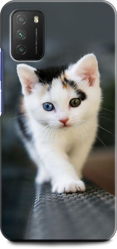 KEYCENT Back Cover for POCO M3 CAT, WHITE CAT, CUTE CATE, LITTILE CAT, BLUE EYES CAT  (Multicolor, Pack of: 1)