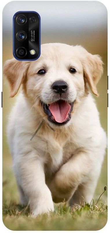 URCHIN Back Cover for Realme 7 Dog, Cute dog, puppy, animals, pets, cute puppy, love, Dogs  (Multicolor, Shock Proof, Pack of: 1)