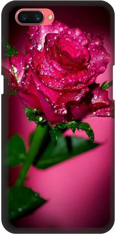 URCHIN Back Cover for Vivo Y71 Rose, Roses, Red rose, Flower  (Multicolor, Shock Proof)