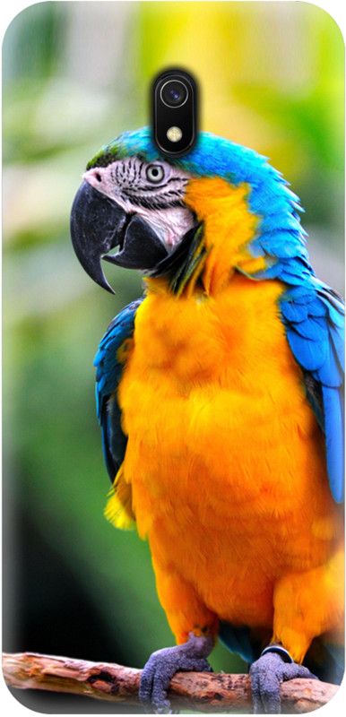 Smutty Back Cover for Redmi 8, MZB8255IN - Parrot Print  (Multicolor, Hard Case, Pack of: 1)