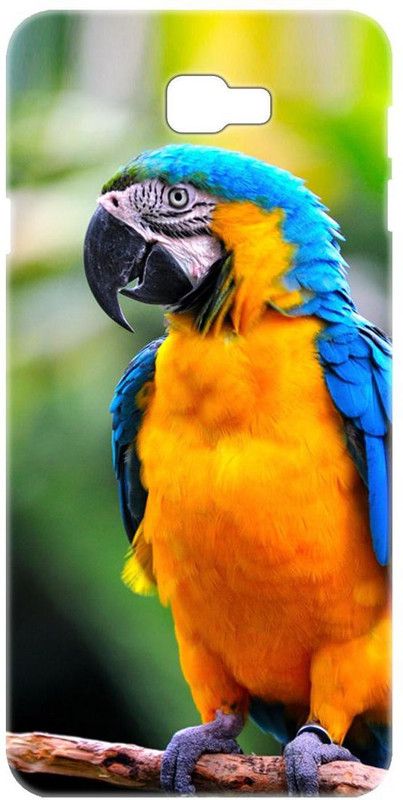 Smutty Back Cover for Samsung Galaxy J7 Prime 2, Samsung Galaxy On7 Prime - Parrot Print  (Multicolor, Hard Case, Pack of: 1)