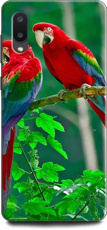 Afterglow Back Cover for SAMSUNG Galaxy M02 PARROT, NATURAL, NATURE, TROPICAL, BIRDS, PARROT COUPLE, CUTE, BEAUTIFUL  (Multicolor, Shock Proof, Pack of: 1)