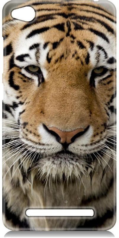 Smutty Back Cover for Mi Redmi 4A - Tiger Print  (Multicolor, Hard Case, Pack of: 1)