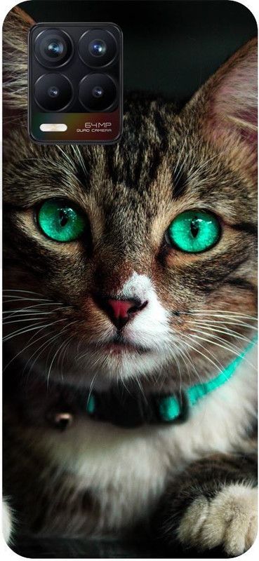 URCHIN Back Cover for Realme 8 Cat, Animal, Cute cat, funny, Pussycat, Meow  (Multicolor, Shock Proof, Pack of: 1)