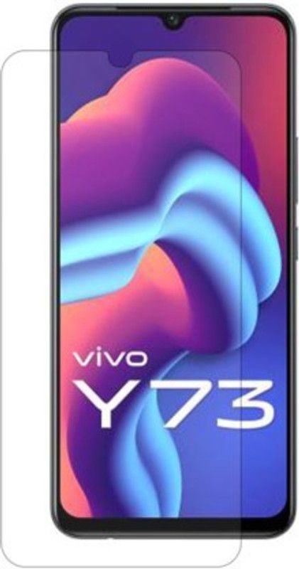 nidka Edge To Edge Screen Guard for Vivo Y73 2021  (Pack of 1)