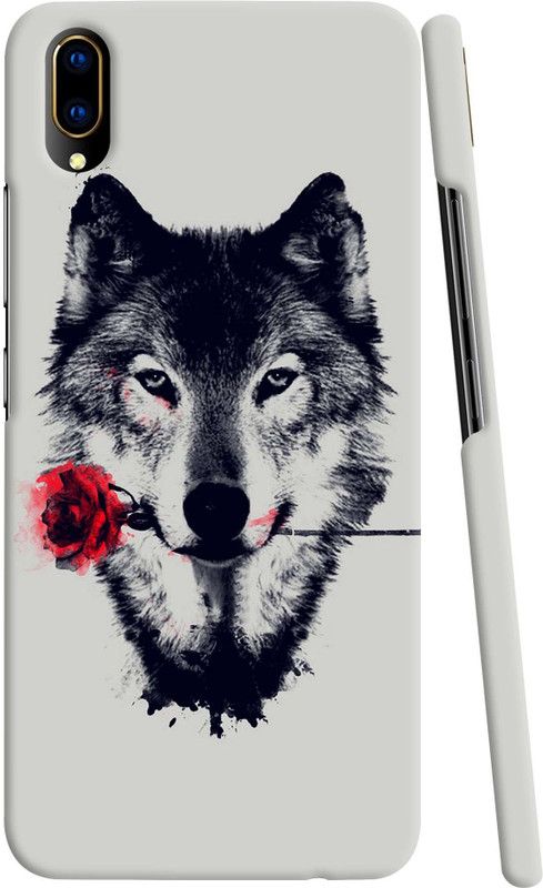 TRENDY EVER Back Cover for Vivo V11 Pro  (Multicolor, Pack of: 1)