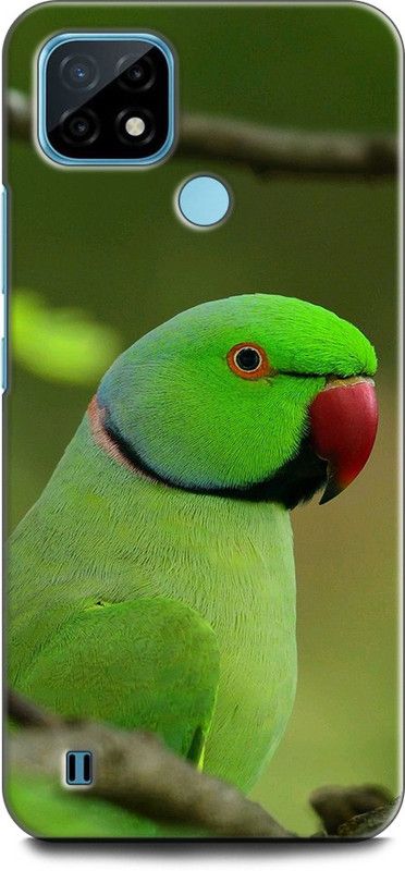 INDICRAFT Back Cover for Realme C21Y, RMX3261 PARROT, COLOURFUL PARROT, BIRD,  (Multicolor, Dual Protection, Pack of: 1)