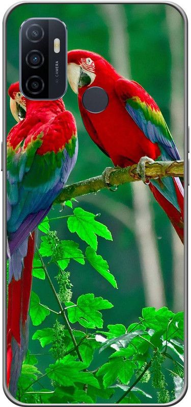 Pinkcity International Back Cover for Oppo A33  (Multicolor, Dual Protection, Silicon, Pack of: 1)