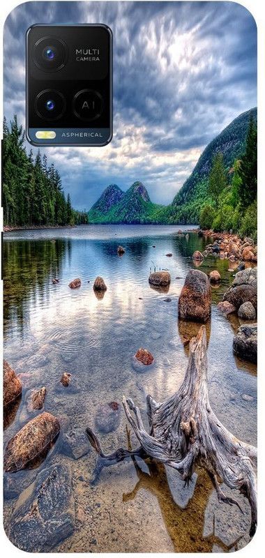 Bluvver Back Cover for Vivo Y21,V2111, Printed Sunset Nature Back Cover  (Multicolor, Hard Case, Pack of: 1)