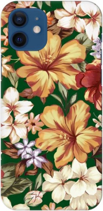 Coberta Case Back Cover for Apple iPhone 12 / Apple iPhone 12 Pro  (Multicolor, Pack of: 1)