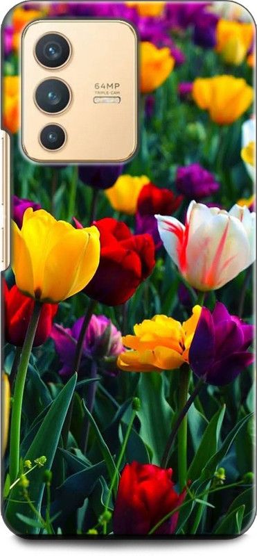 Wall Art Back Cover for Vivo V23 PRO (5G) FLOWERS, ROSES, FLORAL, TROPICAL, NATURAL  (Multicolor, Dual Protection, Pack of: 1)