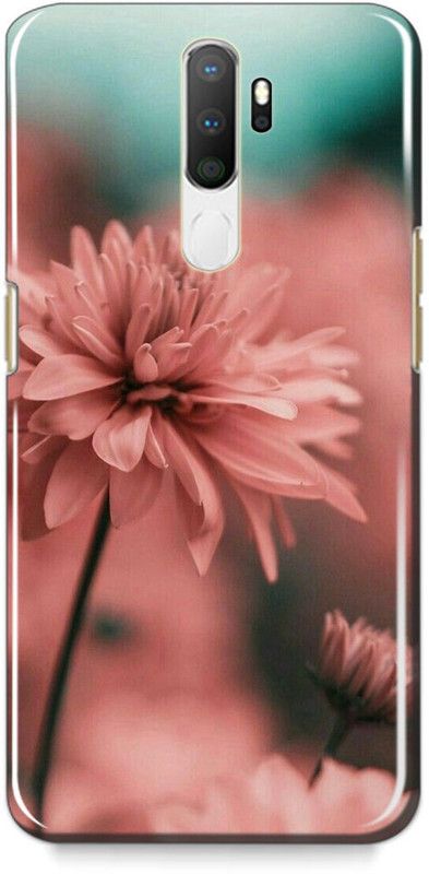 exclusive Back Cover for Oppo A9 2020  (Pink, Blue, Grip Case)