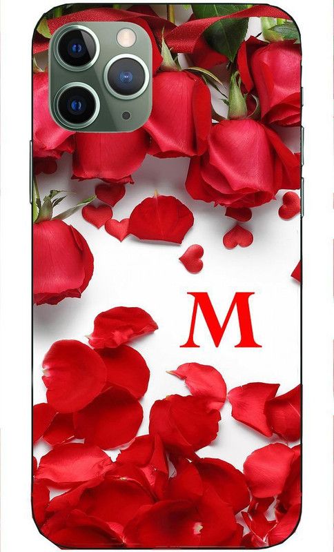 Flipkart SmartBuy Back Cover for  Apple iPhone 11 Pro   (Multicolor, Hard Case, Pack of: 1)