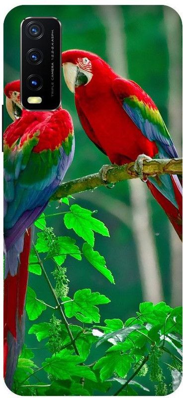 URCHIN Back Cover for Vivo Y20i Parrot, Natural, Nature, tropical, birds, parrot couple, cute, beautiful  (Multicolor, Shock Proof, Pack of: 1)