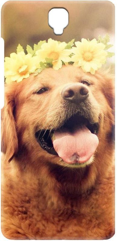 Smutty Back Cover for Infinix Note 4 - Dog Print  (Multicolor, Hard Case, Pack of: 1)