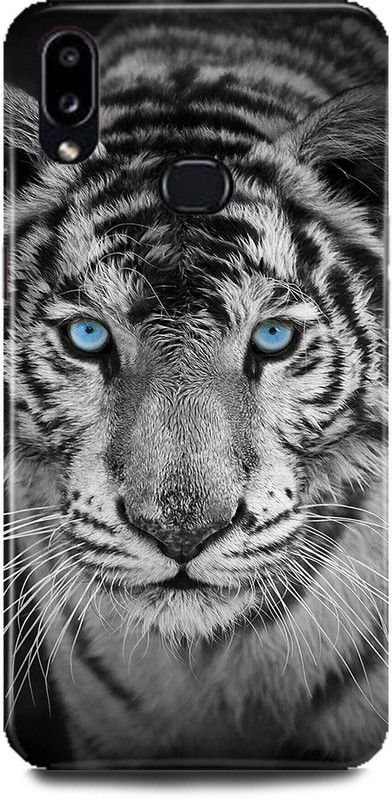 MP ARIES MOBILE COVER Back Cover for SAMSUNG Galaxy M01s, Lion,The,King,Of,Jungal,Lion,Face,Angry,Lion,  (Multicolor, Hard Case, Pack of: 1)