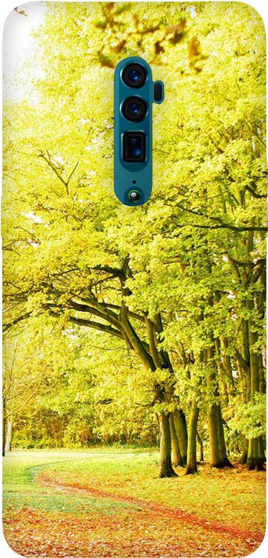 LETAPS Back Cover for Oppo Reno 10x zoom  (Green, Hard Case)