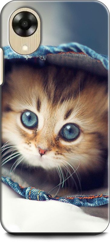 WallCraft Back Cover for OPPO A17K, CPH2471 CAT, CUTE CAT, BLUE EYS  (Multicolor, Dual Protection, Pack of: 1)