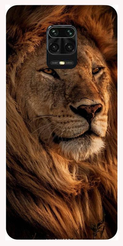 CK CASE KING Back Cover for Mi Redmi Note 9 Pro Loin Back Cover  (Multicolor, Dual Protection, Silicon, Pack of: 1)