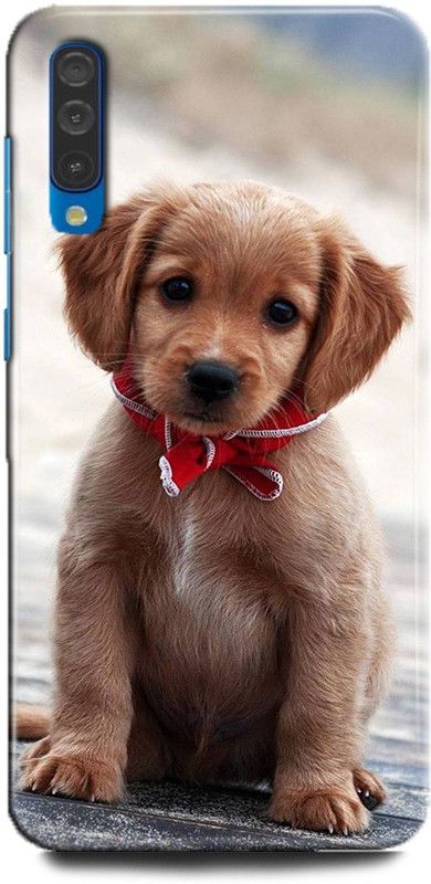 FIKORA Back Cover for Samsung Galaxy A30s/SM-A307FZLVINS DOG PRINTED  (Multicolor, Hard Case)