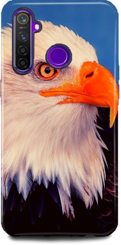 FASKY Back Cover for Realme 5- RMX 1911-Bird-Back-Case-Printed  (Multicolor)