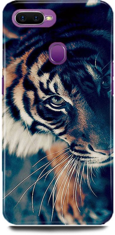 Dimora Back Cover for OPPO A7, CPH1901,Lion,The,King,Of,Jungal,Lion,Face,Angry,Lion,  (Multicolor, Hard Case, Pack of: 1)