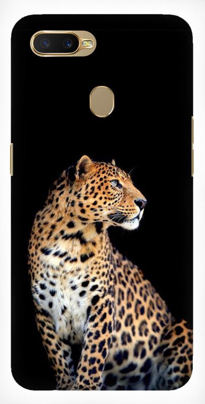 Flipkart SmartBuy Back Cover for Oppo A7  (Multicolor, Hard Case, Pack of: 1)