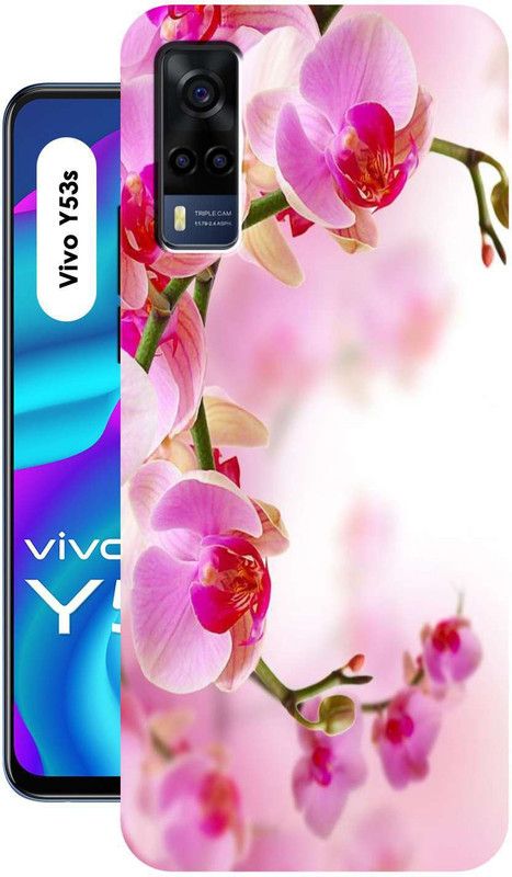 Dekhbuy Back Cover for Vivo Y53s  (Multicolor, Dual Protection, Silicon)