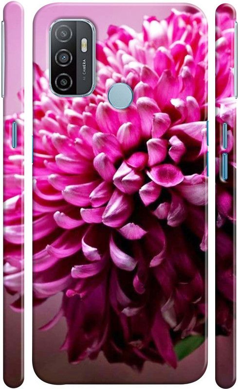 Dugvio Back Cover for Oppo A33 (2020)  (Multicolor, Hard Case, Pack of: 1)