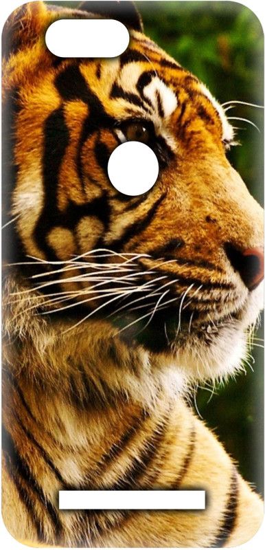 Smutty Back Cover for Gionee F103 Pro - Tiger Print  (Multicolor, Hard Case, Pack of: 1)