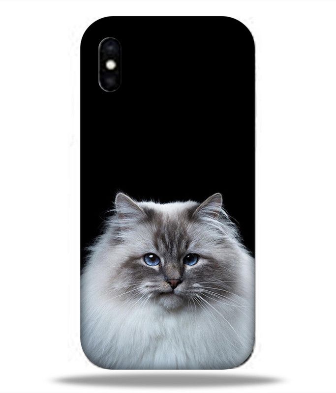 LETAPS Back Cover for Apple iPhone XS Max  (Multicolor, Hard Case)