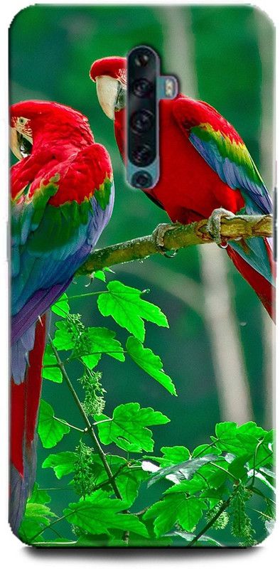 Afterglow Back Cover for Oppo Reno2 PARROT, NATURAL, NATURE, TROPICAL, BIRDS, PARROT COUPLE, CUTE, BEAUTIFUL  (Multicolor, Shock Proof, Pack of: 1)