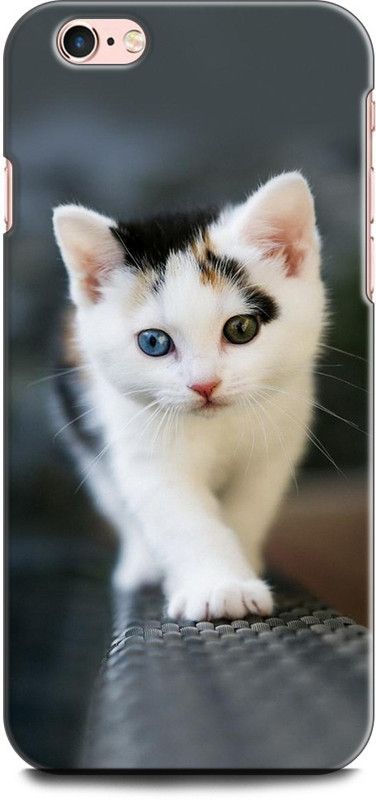KEYCENT Back Cover for APPLE iPhone 6s Plus CAT, WHITE CAT, CUTE CATE, LITTILE CAT, BLUE EYES CAT  (Multicolor, Shock Proof, Pack of: 1)