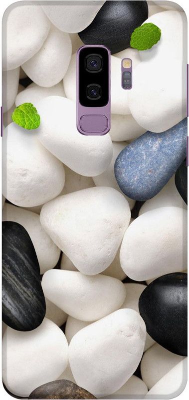 TRUEMAGNET Back Cover for Samsung Galaxy S9 Plus, Samsung Galaxy S9  (Multicolor, Hard Case)