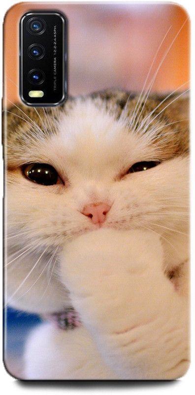 INDICRAFT Back Cover for Vivo Y12G, V2068 CUTE CATE, LITTILE CAT, BLUE EYES  (Multicolor, Dual Protection, Pack of: 1)