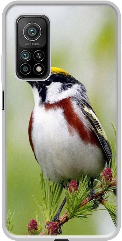 Casotec Back Cover for Mi 10T, Mi 10T Pro 5G  (Multicolor, Flexible, Silicon, Pack of: 1)