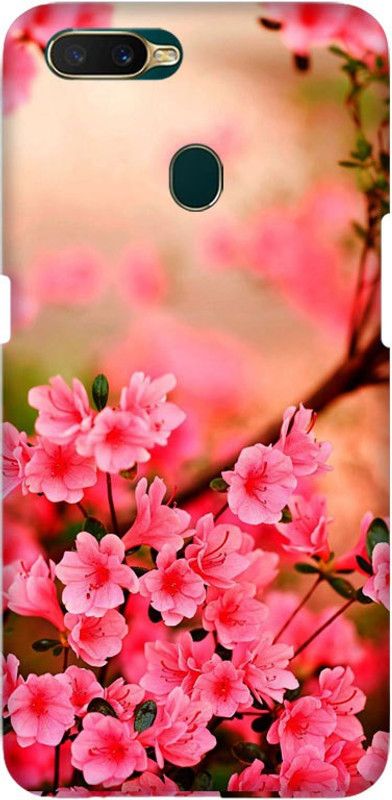 Crafto Rama Back Cover for Oppo A5s (AX5s) / CPH1909 / CPH1920 / CPH1912  (Multicolor, 3D Case, Pack of: 1)