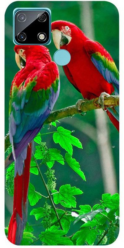 Skyhawk Back Cover for Realme C25 Green Background Maccow  (Multicolor, Waterproof, Silicon)