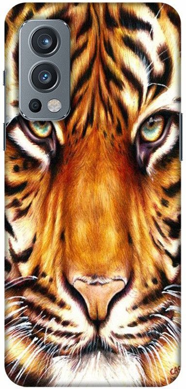 PNBEE Back Cover for OnePlus Nord 2 5G, DN2101, DN2103 - Tiger Print  (Multicolor, Hard Case, Pack of: 1)