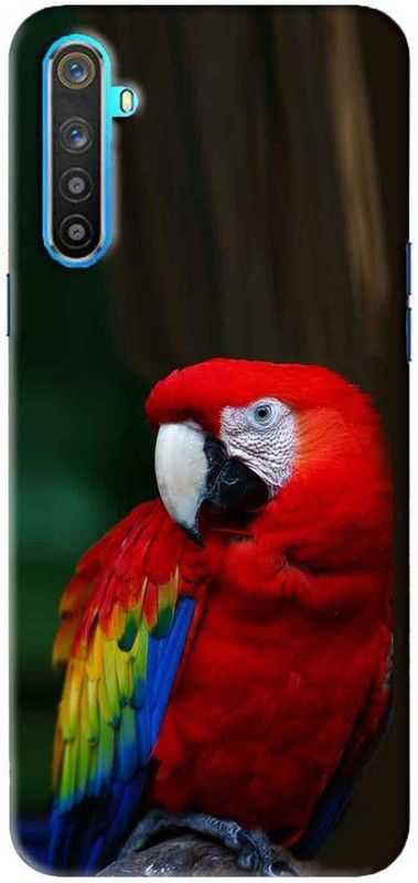 NDCOM Back Cover for Realme 6i Red Parrot Printed  (Multicolor, Hard Case, Pack of: 1)