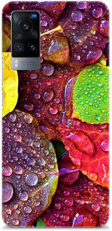 Chiraiyaa Back Cover for vivo X60  (Multicolor)